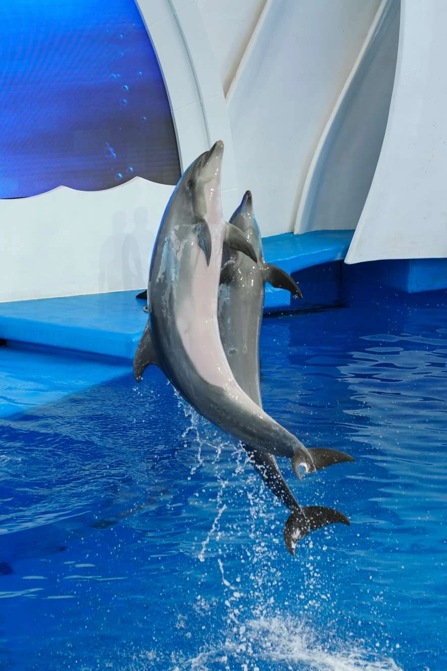 图叨叨_20250510_125921(2).webp